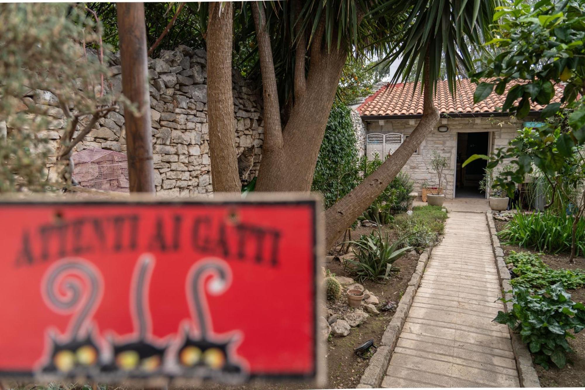 Casa Vacanze Alisei Terlizzi Εξωτερικό φωτογραφία